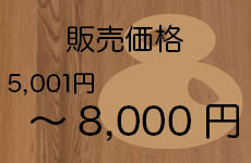 ～8,000円