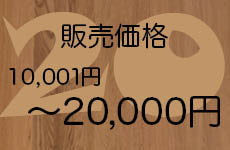 ～20,000円